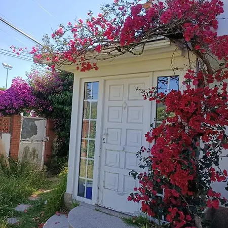 Independiente Zona Coruxo Holiday home Oya